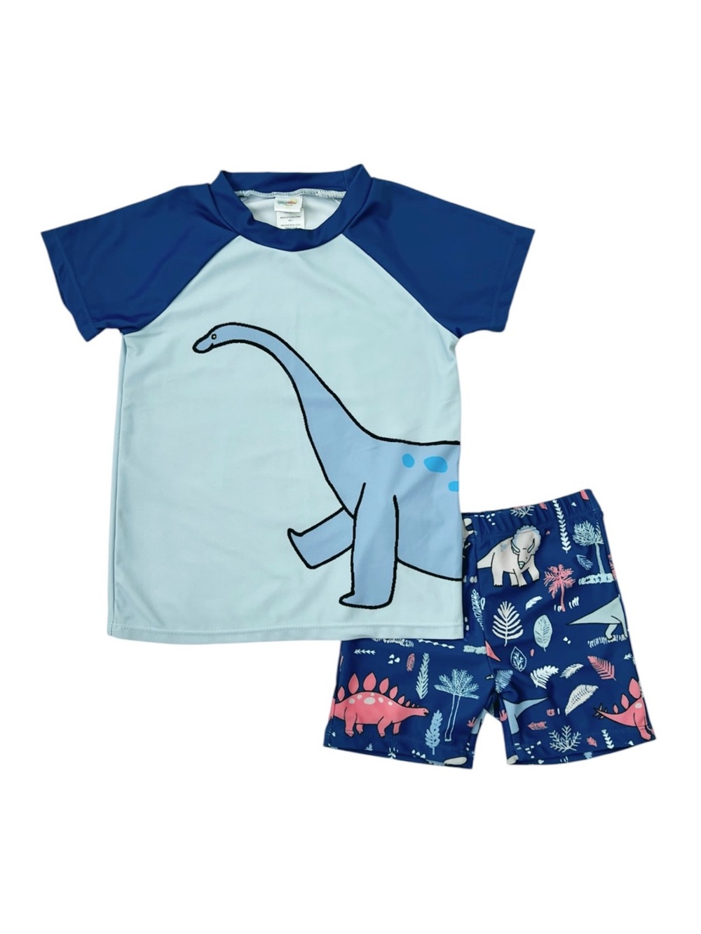 Toddler boys 2-piece swimsuit